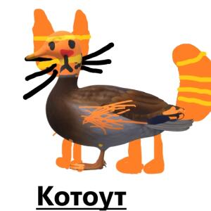КотоУт