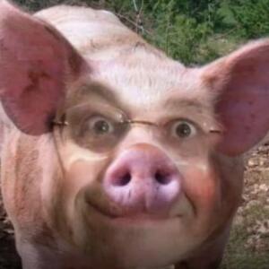 ирискиткат