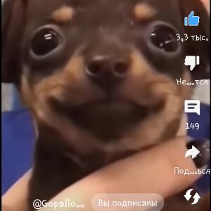 😎😎БУБАLEX😎😎