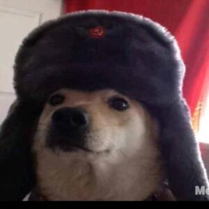 Русская собака
