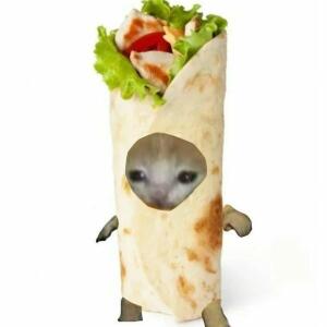Коурма