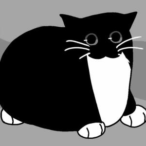 Catso