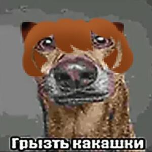 Грызть какашки