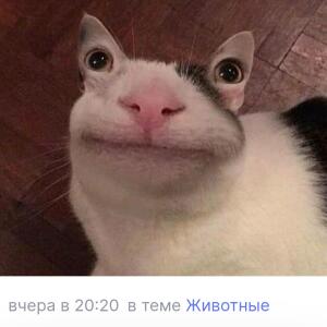 Хочу жрать