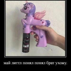 bobr_