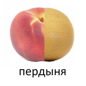 Пердыня