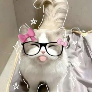 ~><고양이 유키 ><~