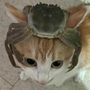 крабеф с точкой