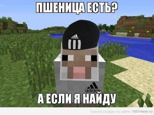 Семки есть?
)))))))))))))))))