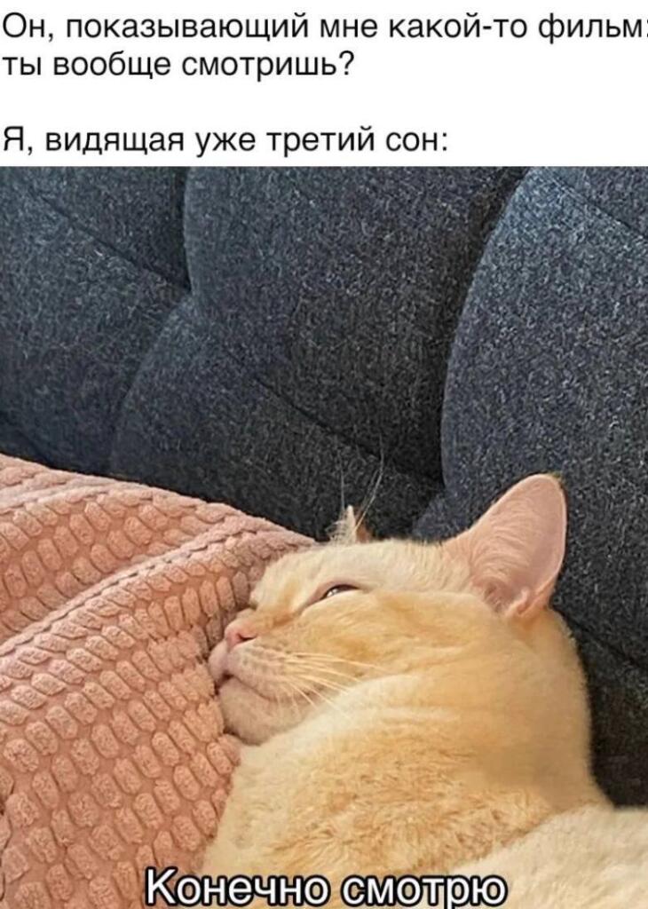 Рыжий кот лежит на диване с полузакрытыми глазами, сверху надпись про фильм и сон, снизу «Конечно смотрю