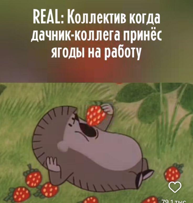 Мем от Черемша
