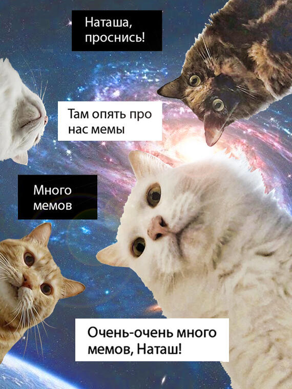 Мем без подписи