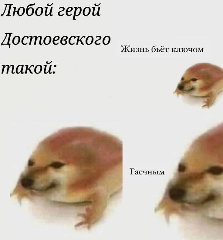 Мем без подписи