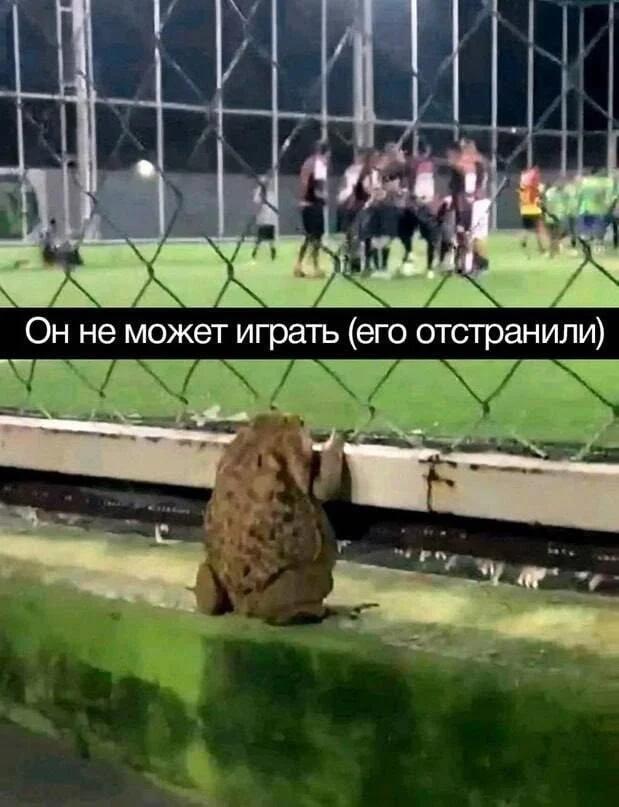 Надеюсь его вернули.