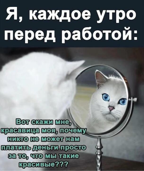 Мем без подписи