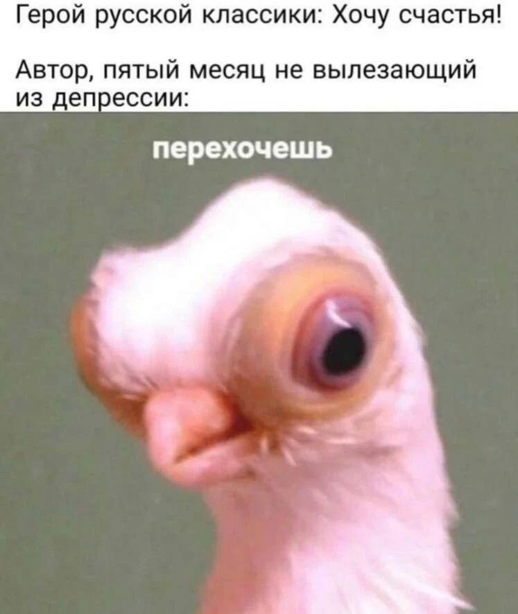 Мем от Живаябита [ПЛМ] (#душнила)