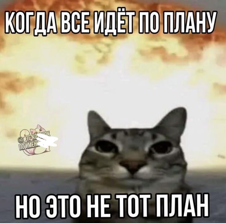Мем без подписи