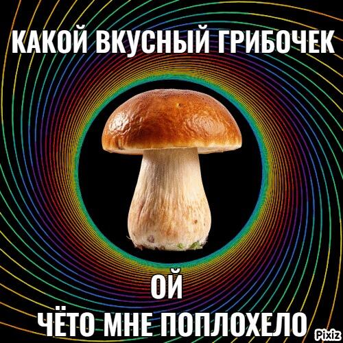 Белый гриб на чёрном фоне с разноцветными спиральными линиями, надпись: Какой вкусный грибочек, ой чёто мне поплохело