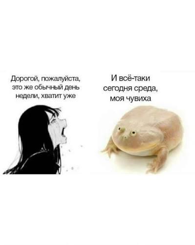 Мем от МемнийЧеловечек [бебебеПЛМ]