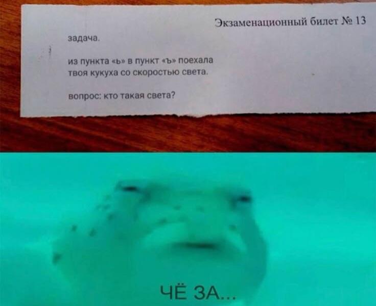 Мем от puntluss(борщсантилопой)