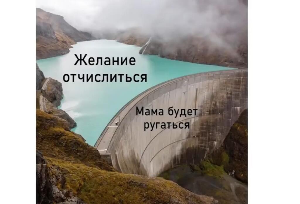 Рыжий кот держит лапами лицо человека и спрашивает, где его Наташенька (10 из 10)