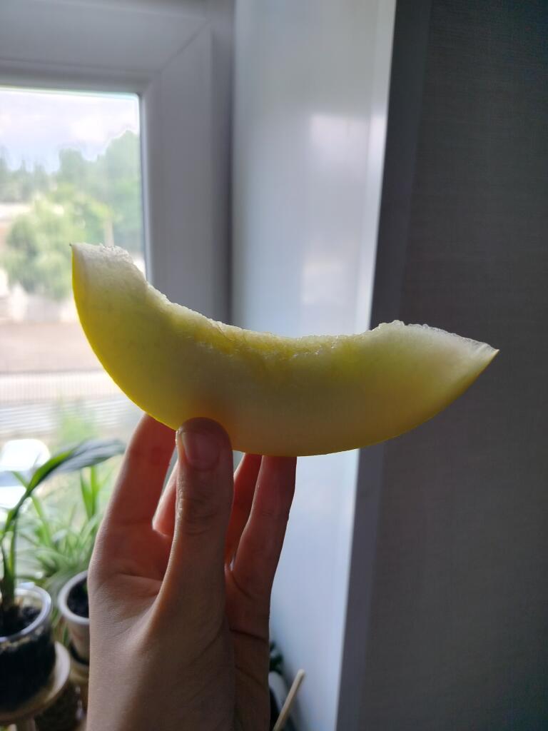 Сезон дынебализма, одаа 😋