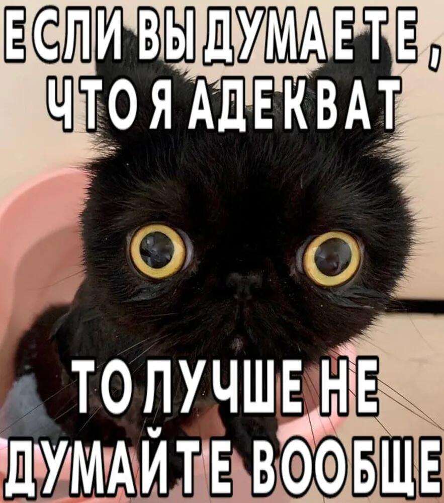 Мем от Мемный Мозг[бебебеПлм]