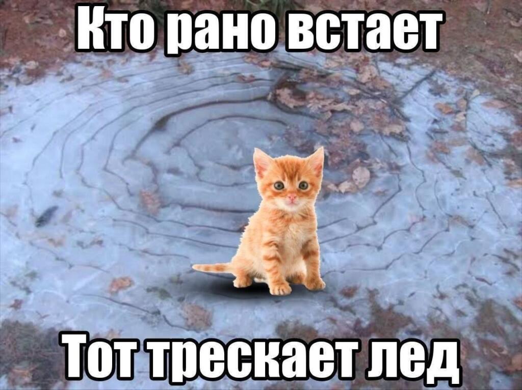 Мем без подписи