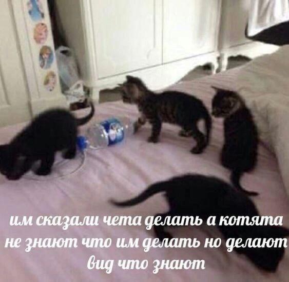 Рандомные факты обо мне.
Факт номер 2.
У меня просто миллион дебильных и странных привычек по типу грызть ручки и постоя