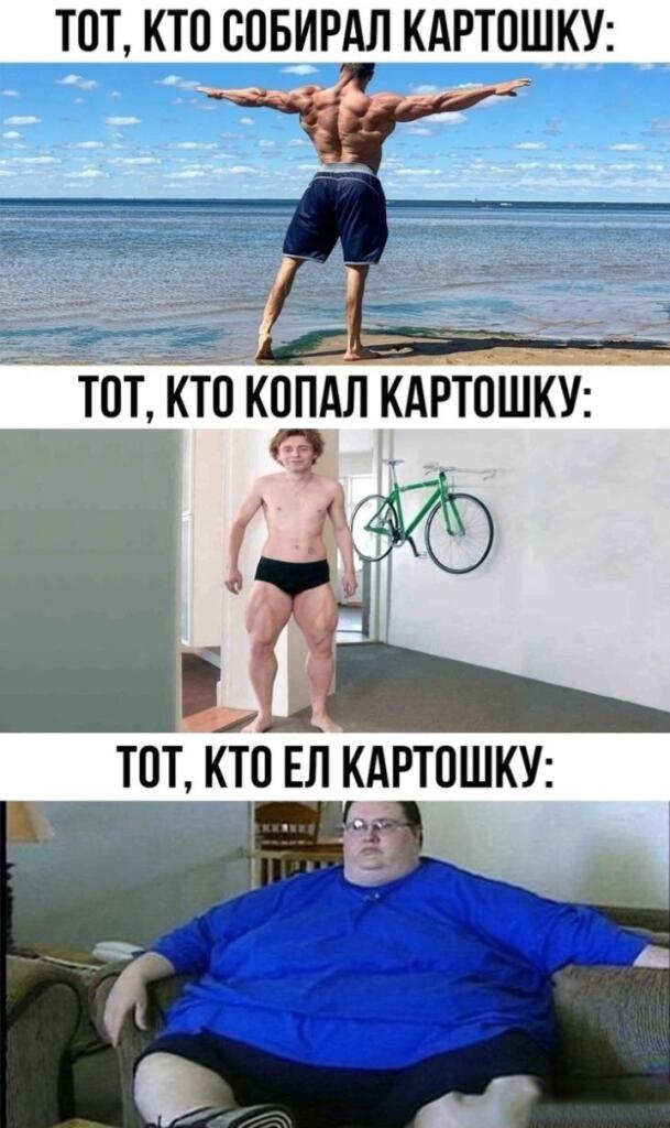 Мем от хипстер хаеп