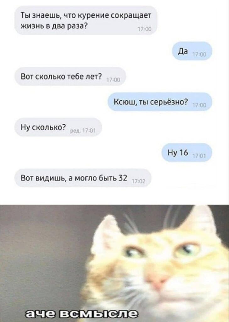 Скрин переписки про сокращение жизни курением и реакция кота