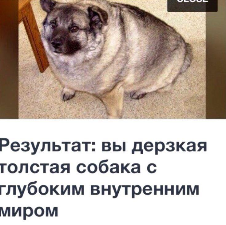 Эксперимент не был провальным