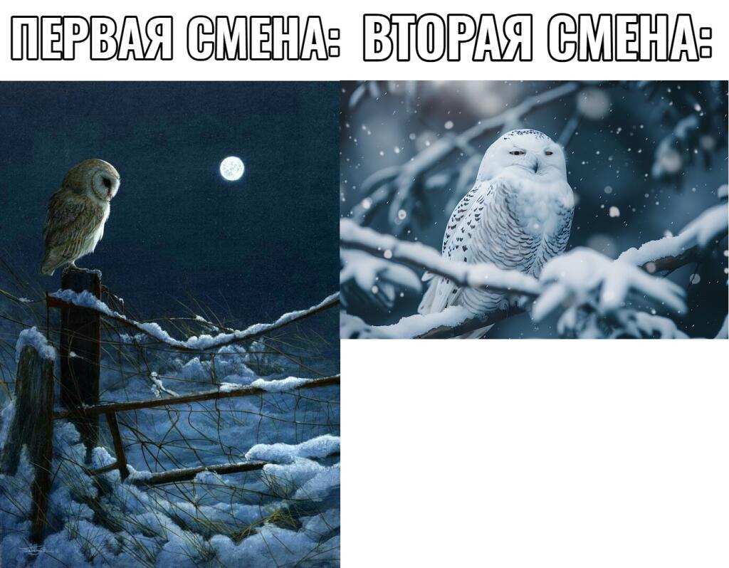 Мем от Mish0k [ПЛМ]