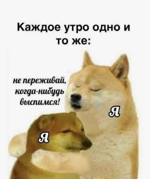 Мем от -Week- CHUP (free Schlep)