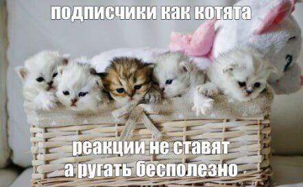 :3
