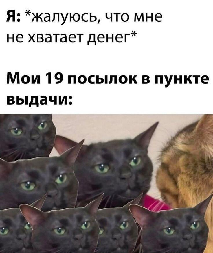 Надпись Я жалуюсь что мне не хватает денег и Мои 19 посылок в пункте выдачи, ниже коллаж из нескольких голов чёрных котов