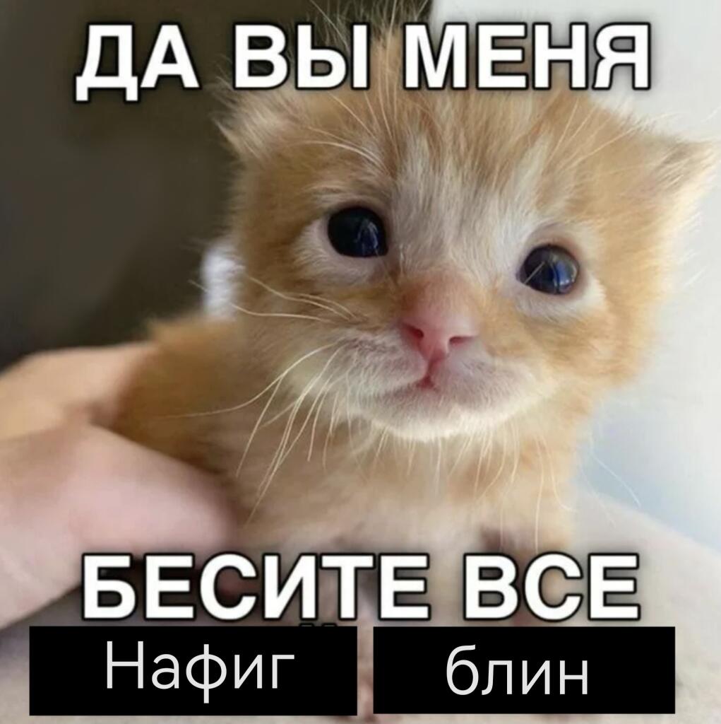 Все утром: идут на прогулку, разговаривают, идут в гости, 
Также я утром:
