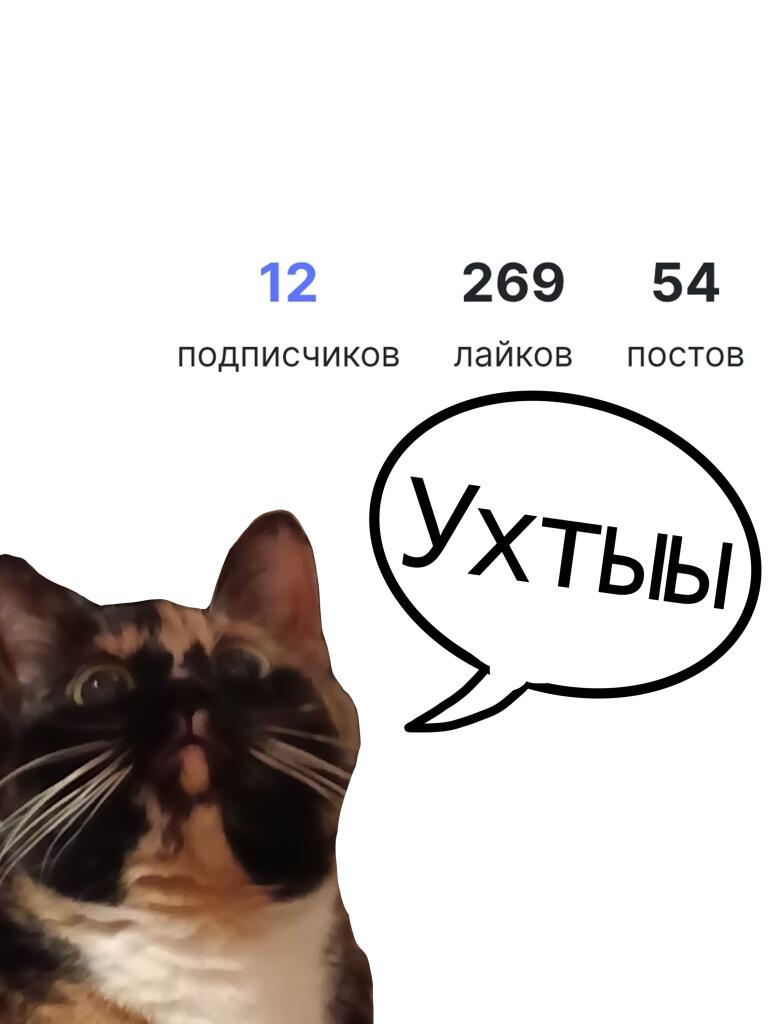 Мем от Бякусин [бебебеПЛМ]