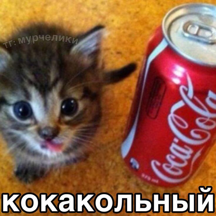 кокакола эстуляр