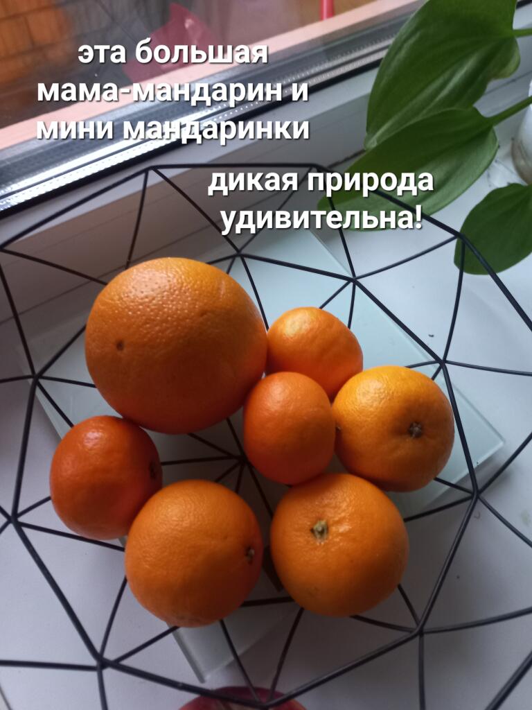Миленько)