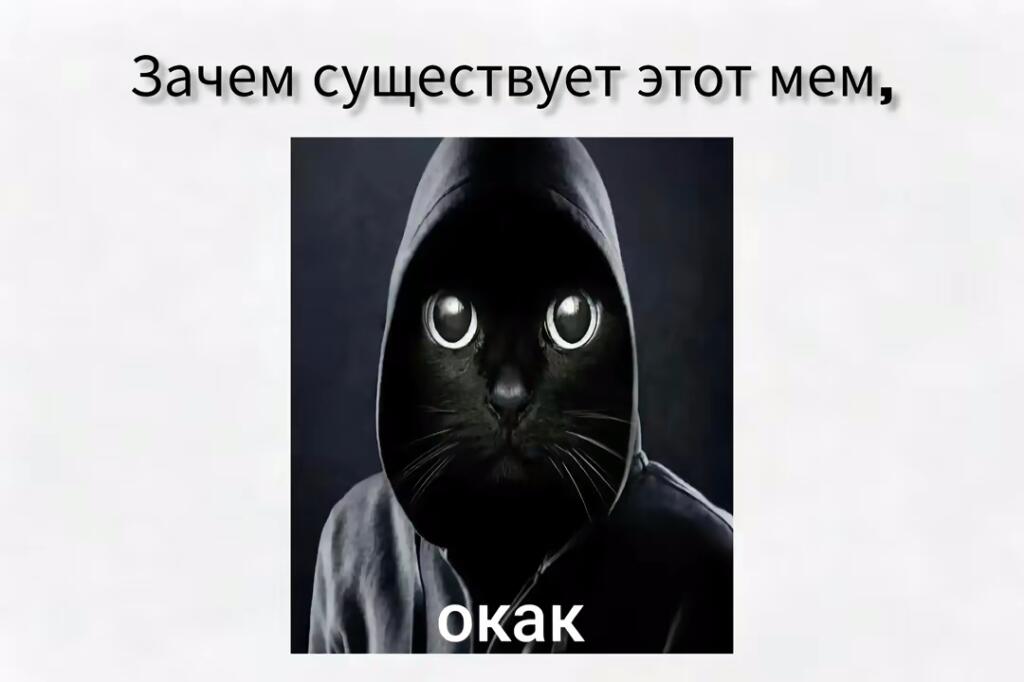 Мем от 🎶FLYTDAN🎶