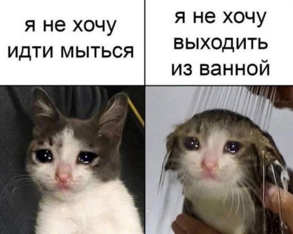 я вернулся