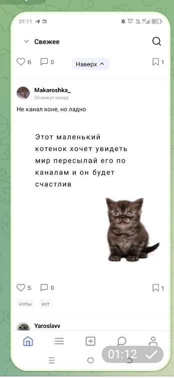 Котик увидел мир то отправте его куда-нибудь ещё