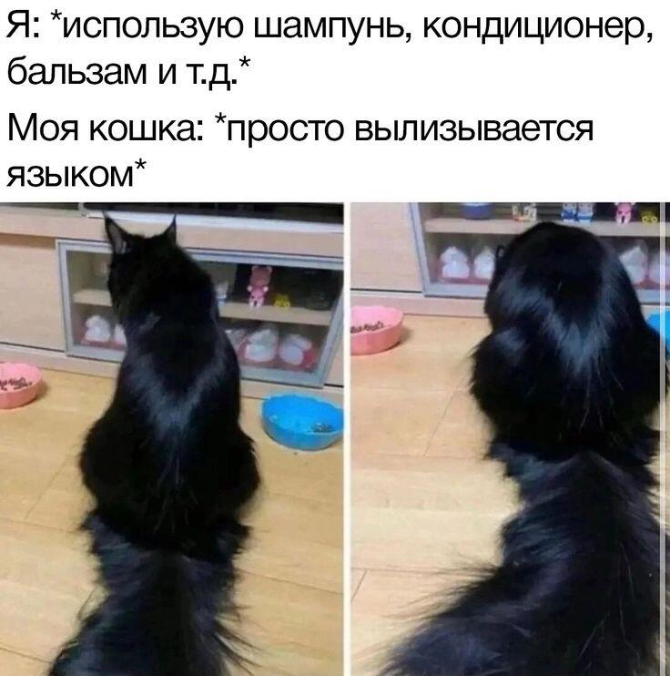 Да как так то?