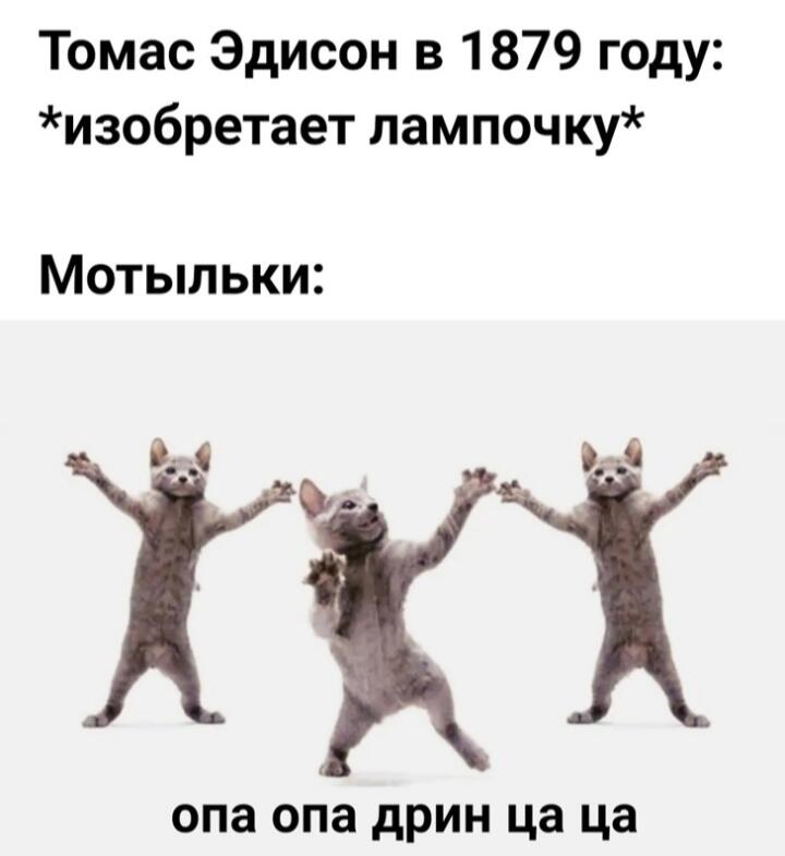 Мем от Хаски на пальме