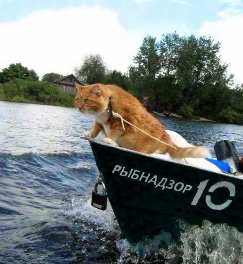 Мем от Melony