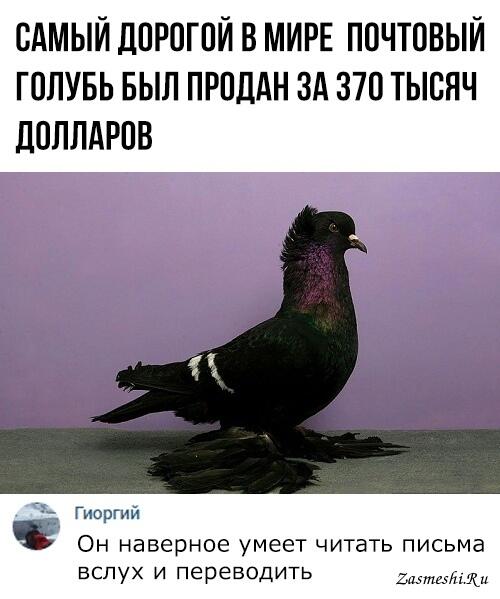 Мем от Melony