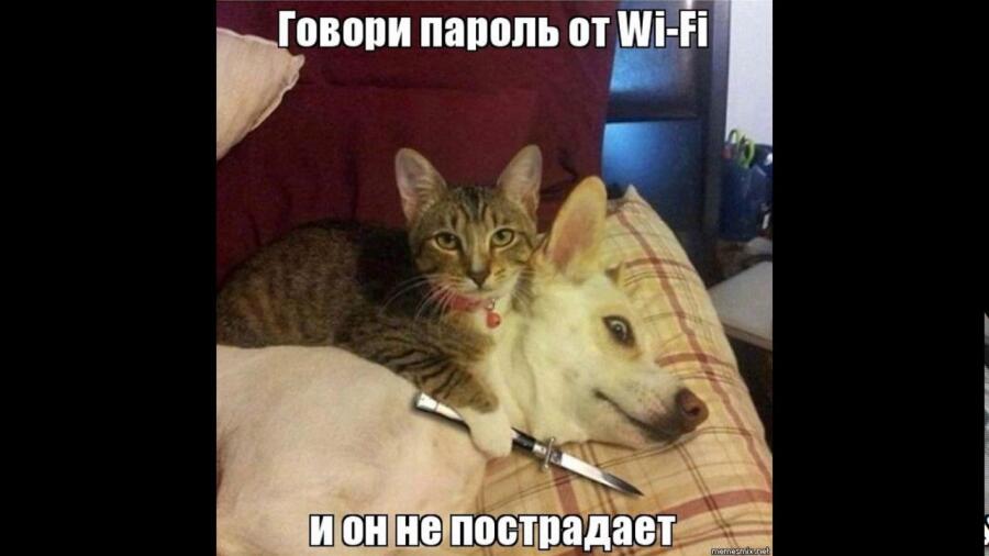 Я, когда первый раз пришла к кому-то в гости: