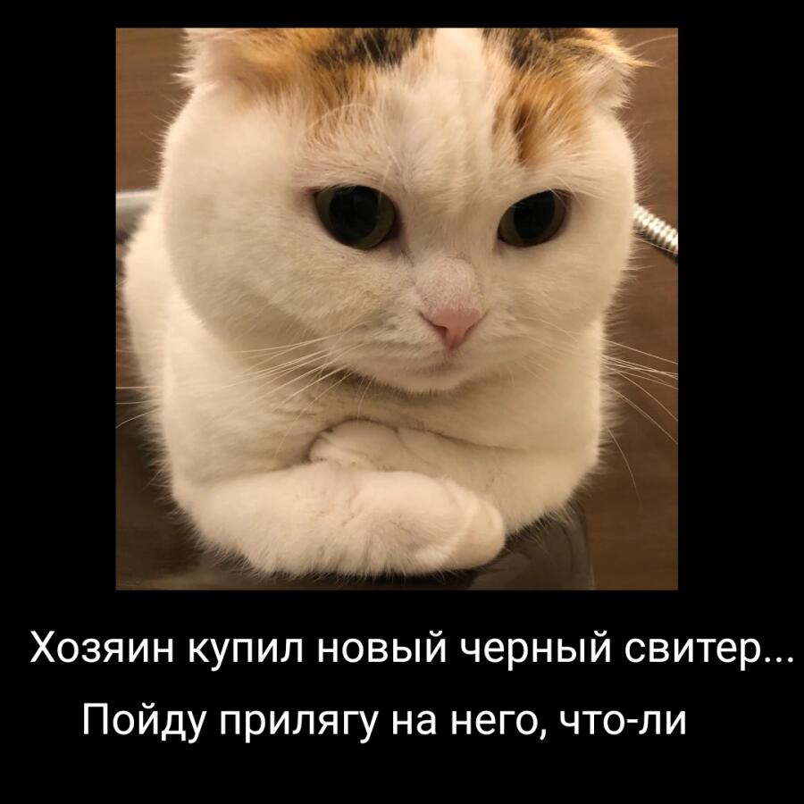 Мем от Melony