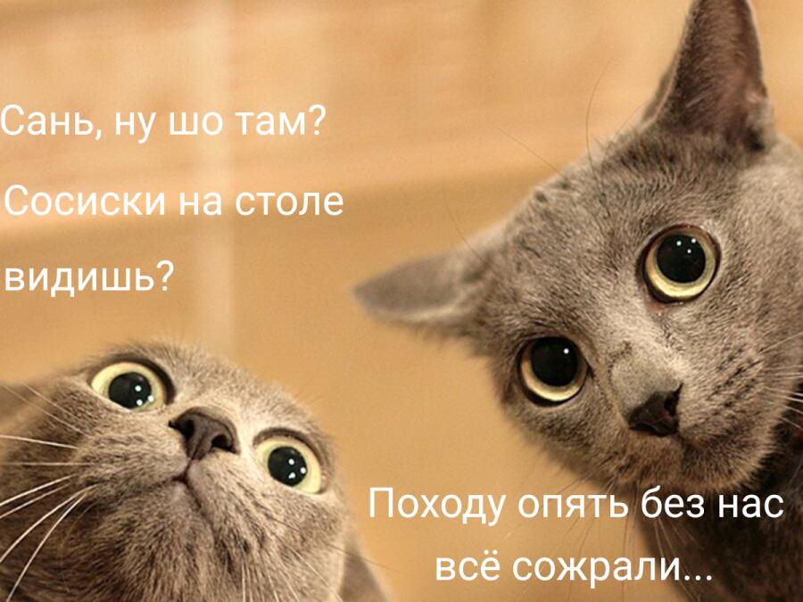 Мем от Melony